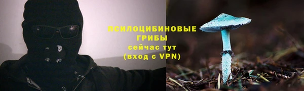 эйфоретик Магадан