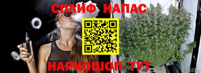 прущие крисы Славгород