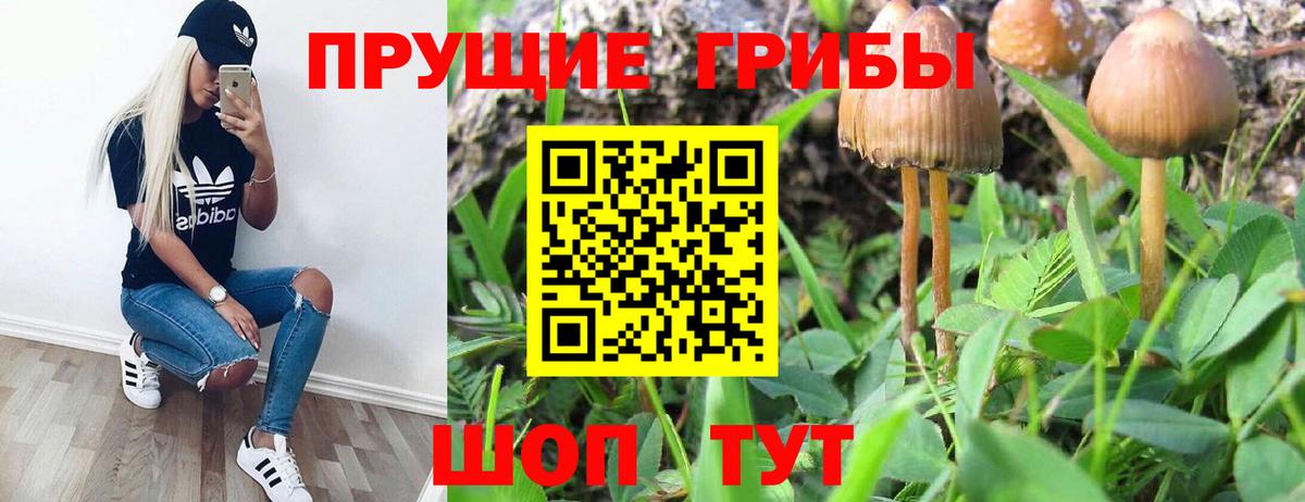 Псилоцибиновые грибы MAGIC MUSHROOMS  Вход с VPN  Славгород  Галлюциногенные грибы прущие грибы 