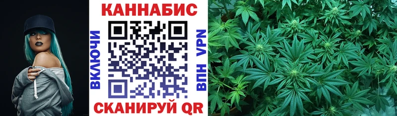 что такое   Славгород  МАРИХУАНА семена 